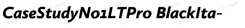 CaseStudyNo1LTPro BlackIta字体转换